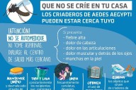 Dengue: la prevención es fundamental