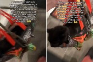 Man Improvises While Saving Roommate’s Pets After Fire Breaks Out