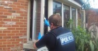 XL Bully dog mauls man's face in horror attack in friend's kitchen