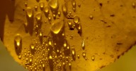 Utah’s water year leaves many worried