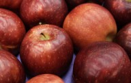 Overproduction fears cast cloud over Washington apple crop