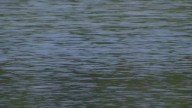 Search for missing swimmer at West Brookfield’s Lake Wickaboag