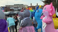 600 gather to protest Trump administration in Monroe