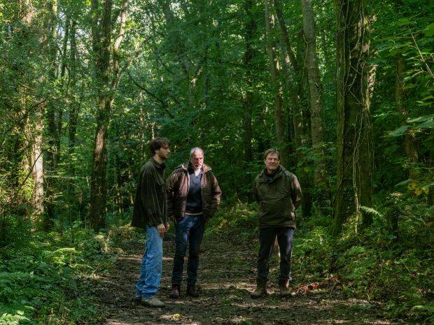 Daniel Day-Lewis is back in bleak, dense ‘Anemone’