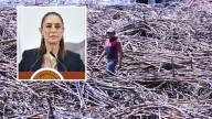 La propuesta que presentó Claudia Sheinbaum para beneficiar a productores cañeros de Veracruz