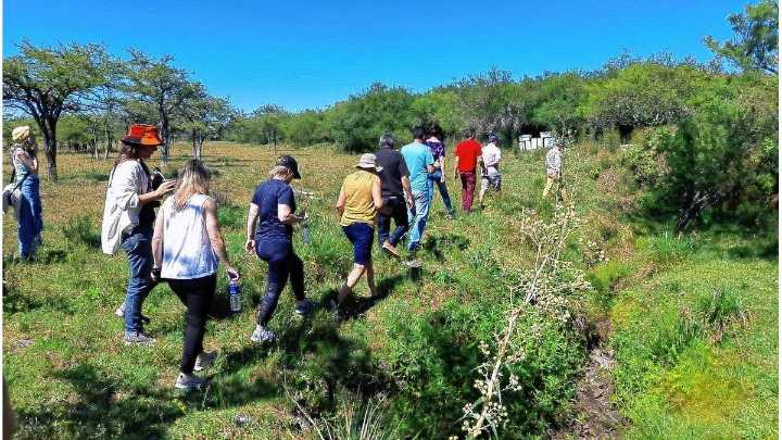 Día Mundial de Protección de la Naturaleza: los consejos para el ecoturismo