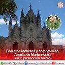 Con más recursos y compromiso, Argelia de María avanza en protección animal