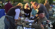 World's largest oyster restoration effort celebrated at Baltimore festival