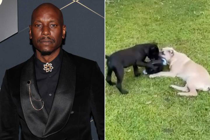 Tyrese Gibson Didn't Turn Himself in to Police as Requested, Though Lawyer Says He's 'Cooperating Fully'