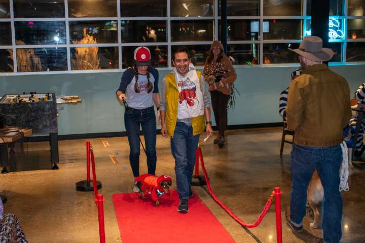 Raise the woof: 4 places hosting costume contests for dogs