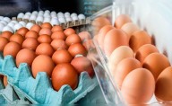 Día del Huevo: ¿es mejor guardarlo dentro o fuera de la refrigeradora? Esto dice un experto en alimentos