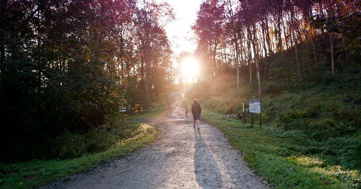 'Win-win' says council as work set to start on Guisborough Forest Walkway improvements
