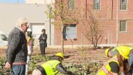 World famous designer creates Old Market garden
