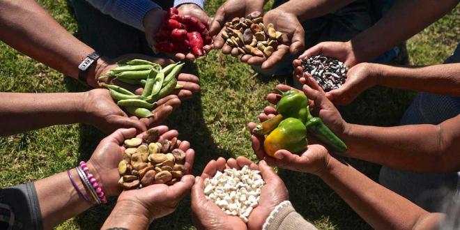 La Secretaría de Salud y la Universidad Autónoma Metropolitana unen fuerzas por la soberanía alimentaria