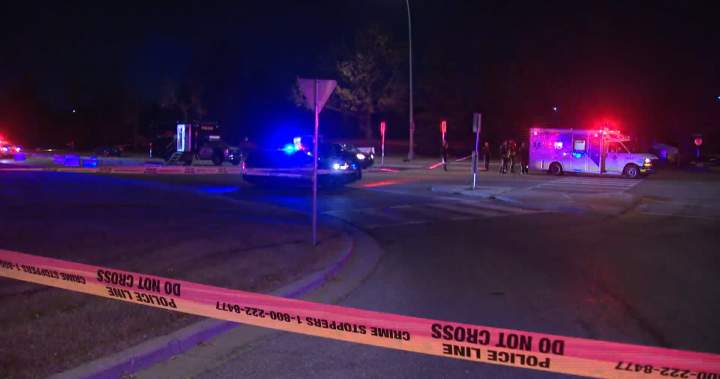 Death toll on Calgary roads reaches a 10