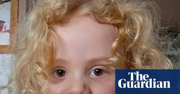 Search for missing 4-year-old boy in SA scaled back as police ask public not to call with ‘opinions’