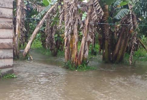 Exigen que se gestione venta de comida en comunidades afectadas por el Orinoco