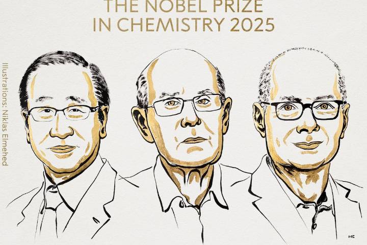 Nobel de Química es entregado a tres científicos por el desarrollo de estructuras metal