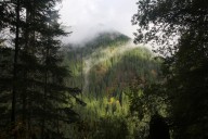 Oregon ranked 8th best state for hiking by clothing brand that’s scared off by the rain