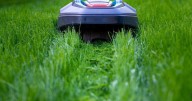Silence of the lawns: How noise ordinances, gas equipment bans and robot mowers are changing yard care