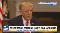 ‘Unquestioned Power’: Trump Warns ‘Fake’ Dems He’ll Use Insurrection Act