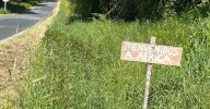 La CG-2.2 a su paso por Bóveda y la OU-402 en  os municipios de Ourense, A Arnoia y Cortegada entre las carreteras a desbrozar esta semana por la Xunta