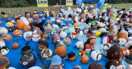 Pumpkin Shine returns to Betty Virginia Park with thousands of creative jack