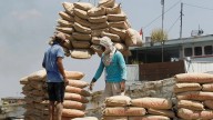 Cement cos profit to rise in Q2 on lower base effect
