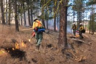 Track Washington Prescribed Burns with New Alerts