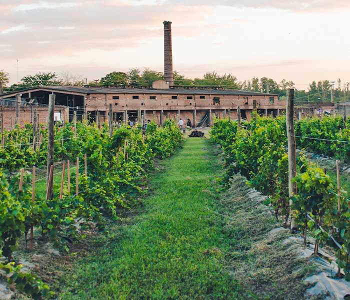 ENOTURISMO: calendario de eventos Vinos Buenos Aires