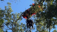 Instructor dies in Nashville skydiving incident, 2nd skydiver rescued from tree
