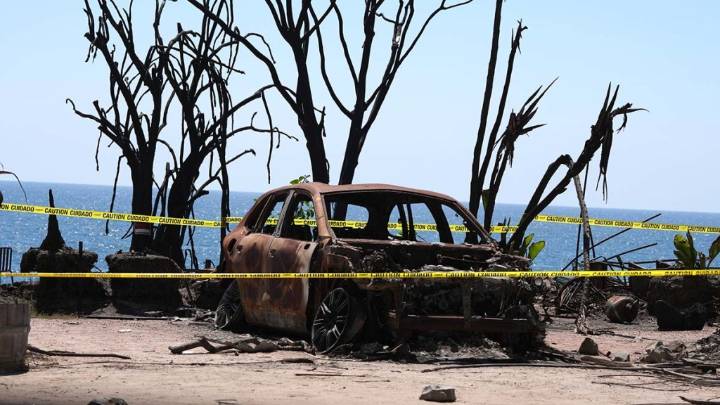 Opinion: Even ‘high-risk’ insurance cannot protect us from societal disasters