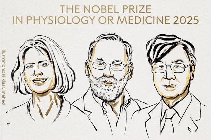 Nobel Prize in Medicine Goes to 3 Scientists For Work On Peripheral Immune Tolerance