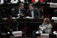 Trámite exprés. La Cámara de Diputados aprobó el pedido del juez Mirabelli para avanzar con medidas contra Espert