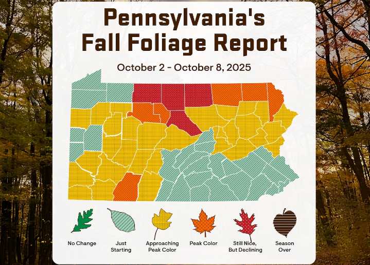 Fall foliage this week is ‘a vibrant color shift’ across Pa.: Here’s where to see the best view