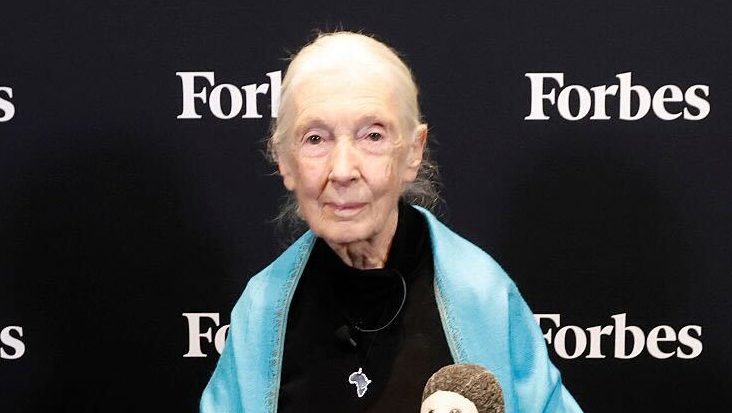 Celebrity Deaths of 2025: Stars Who Died This Year