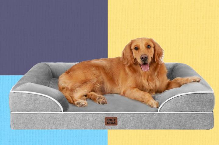 Early Prime Day deal: Get 20% off this orthopedic dog bed