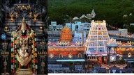 Tirumala Tirupati Devasthanam receives over Rs 900 crore donations in 11 months