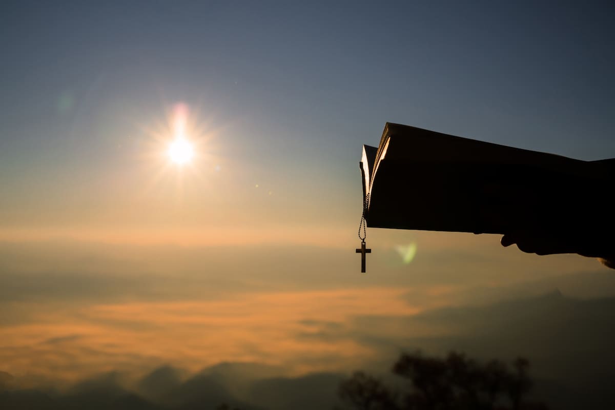 Lectura diaria. Evangelio católico del día de hoy, viernes 3 de octubre