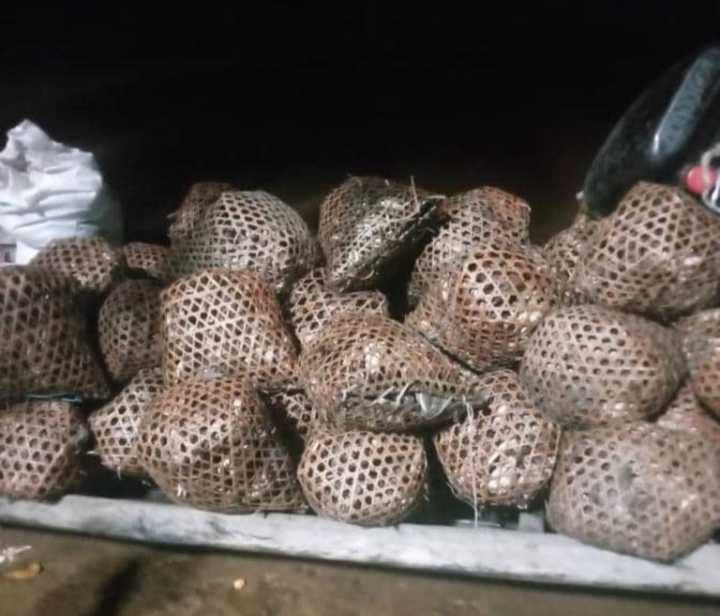 Volvieron los cangrejos al paseo de Tucupita