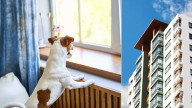 Cobro de cuota adicional por mascotas, errores en garajes de uso exclusivo y locales de servicios