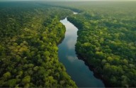 ONG piden a la Justicia brasileña anular el permiso petrolero frente al río Amazonas
