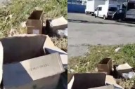 Macabro hallazgo: encuentran varias cabezas de animales en cajas frente a un depósito