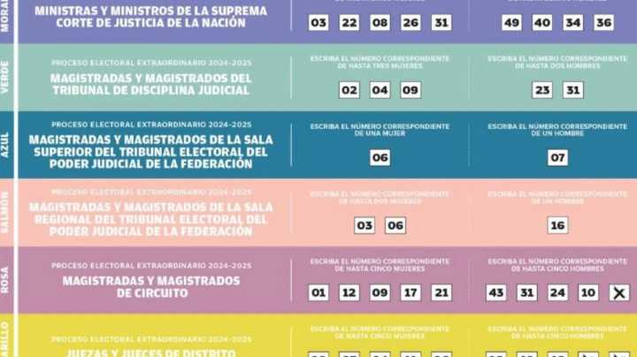 UNIORE recomienda al INE investigar “acordeones” para la elección judicial