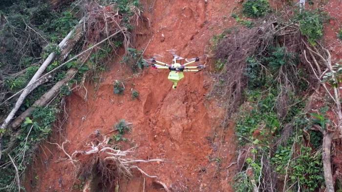 Australia impulsa un proyecto pionero de reforestación de manglares con drones para restaurar sus costas