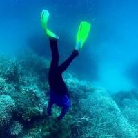 World's coral reefs crossing survival limit: global experts