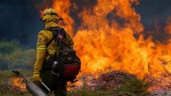 Neuquén se prepara para enfrentar prevenir y enfrentar la temporada de incendios
