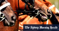 Race-by-race tips and previews for Wednesday’s Warwick Farm meeting