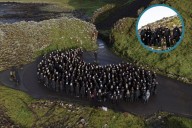 Rock Choir: 500-strong choir perform at Giant’s Causeway for mental health festival