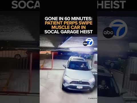 Patient perps swipe muscle car in SoCal garage heist